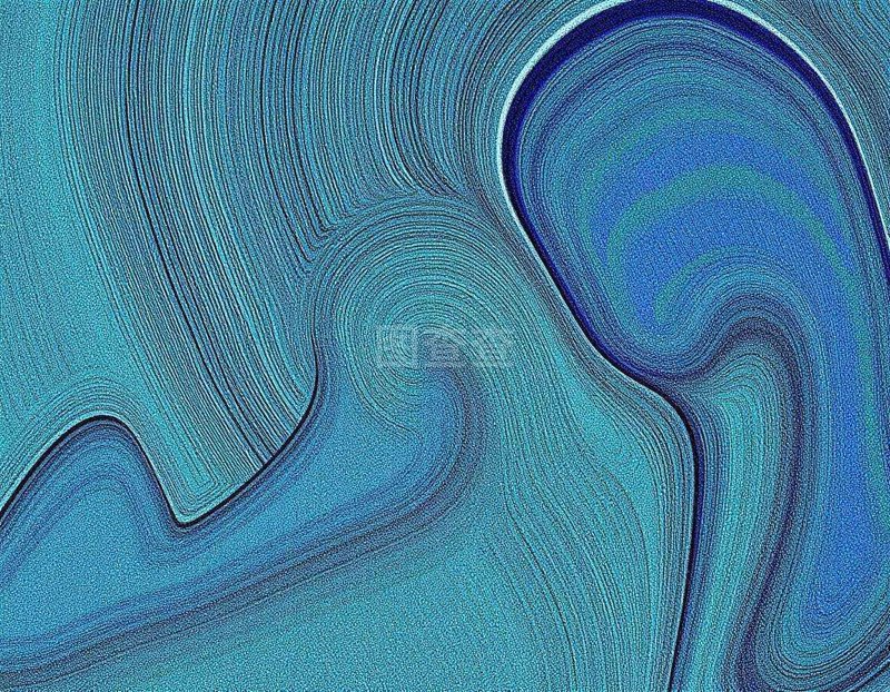 投资管理公司的市场风向与发展趋势
